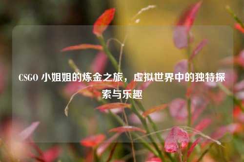 CSGO 小姐姐的炼金之旅，虚拟世界中的独特探索与乐趣
