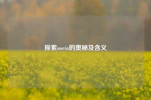 探索noein的奥秘及含义