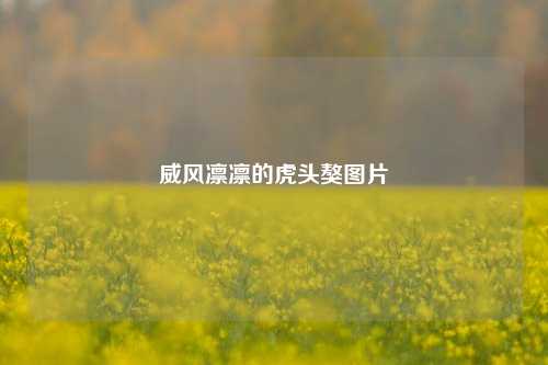 威风凛凛的虎头獒图片