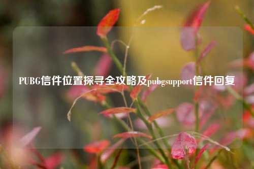PUBG信件位置探寻全攻略及pubgsupport信件回复