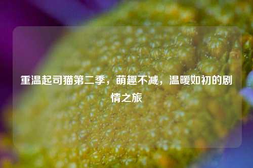 重温起司猫第二季，萌趣不减，温暖如初的剧情之旅