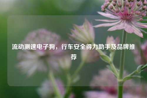 流动测速电子狗，行车安全得力助手及品牌推荐