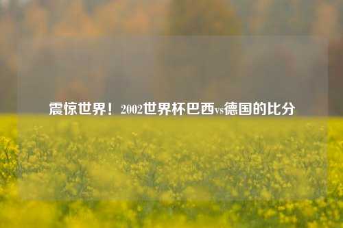 震惊世界！2002世界杯巴西vs德国的比分