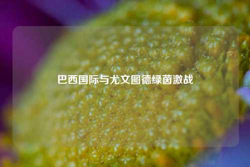 巴西国际与尤文图德绿茵激战