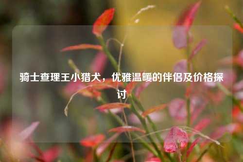 骑士查理王小猎犬，优雅温暖的伴侣及价格探讨