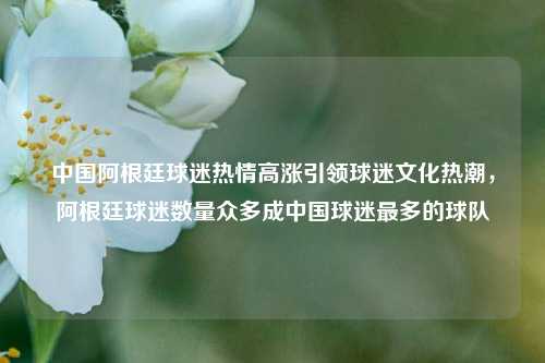 中国阿根廷球迷热情高涨引领球迷文化热潮，阿根廷球迷数量众多成中国球迷最多的球队