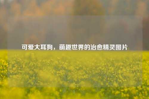可爱大耳狗，萌趣世界的治愈精灵图片