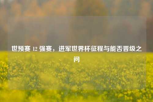 世预赛 12 强赛，进军世界杯征程与能否晋级之问