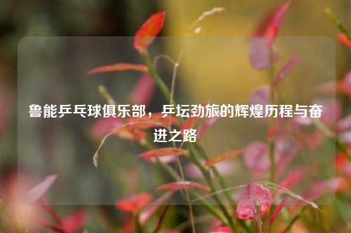 鲁能乒乓球俱乐部，乒坛劲旅的辉煌历程与奋进之路