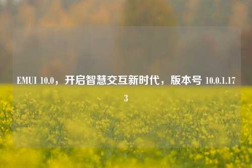 EMUI 10.0，开启智慧交互新时代，版本号 10.0.1.173