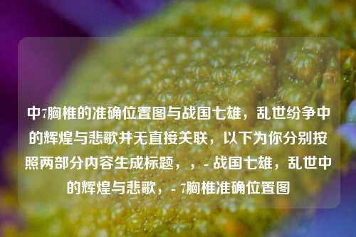 中7胸椎的准确位置图与战国七雄，乱世纷争中的辉煌与悲歌并无直接关联，以下为你分别按照两部分内容生成标题，，- 战国七雄，乱世中的辉煌与悲歌，- 7胸椎准确位置图