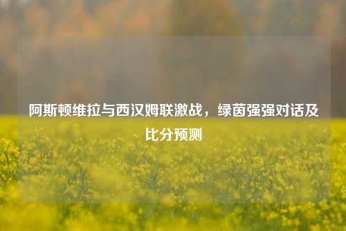 阿斯顿维拉与西汉姆联激战，绿茵强强对话及比分预测