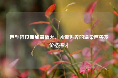 巨型阿拉斯加雪橇犬，冰雪世界的温柔巨兽及价格探讨
