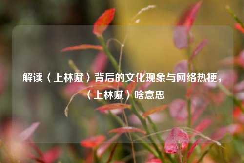 解读〈上林赋〉背后的文化现象与网络热梗，〈上林赋〉啥意思