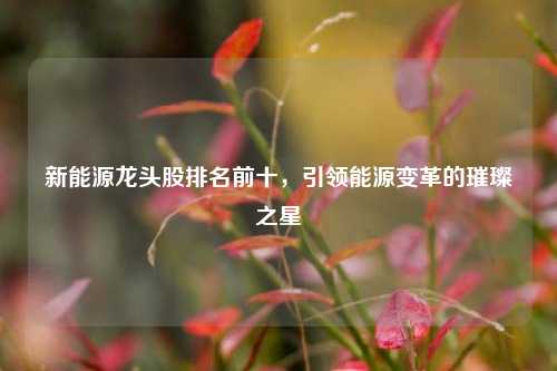 新能源龙头股排名前十，引领能源变革的璀璨之星