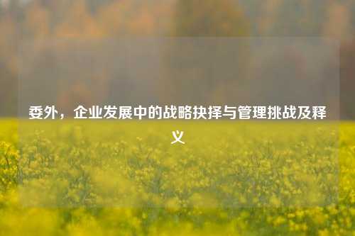 委外，企业发展中的战略抉择与管理挑战及释义