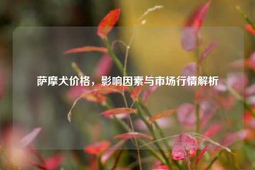 萨摩犬价格，影响因素与市场行情解析