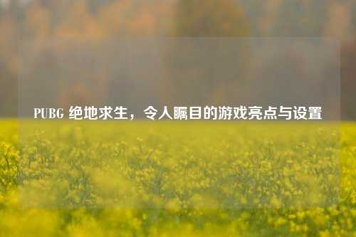PUBG 绝地求生，令人瞩目的游戏亮点与设置