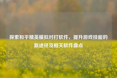 探索和平精英模拟对打软件，提升游戏技能的新途径及相关软件盘点