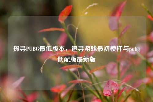 探寻PUBG最低版本，追寻游戏最初模样与pubg低配版最新版