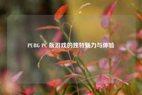 PUBG PC 版游戏的独特魅力与体验