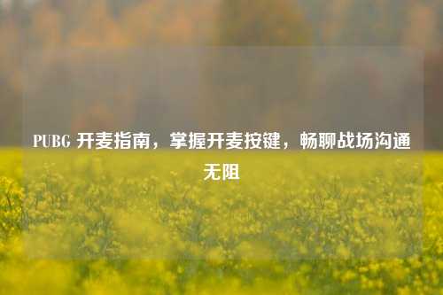 PUBG 开麦指南，掌握开麦按键，畅聊战场沟通无阻