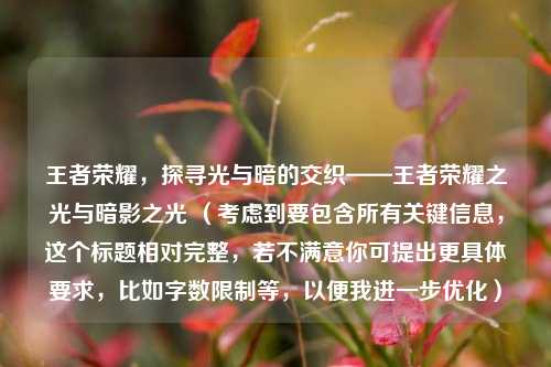 王者荣耀，探寻光与暗的交织——王者荣耀之光与暗影之光 （考虑到要包含所有关键信息，这个标题相对完整，若不满意你可提出更具体要求，比如字数限制等，以便我进一步优化）
