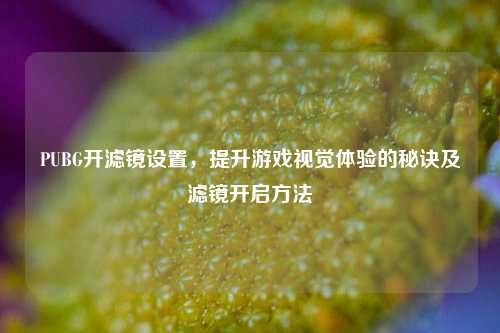 PUBG开滤镜设置，提升游戏视觉体验的秘诀及滤镜开启方法
