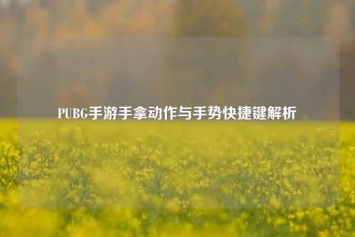 PUBG手游手拿动作与手势快捷键解析