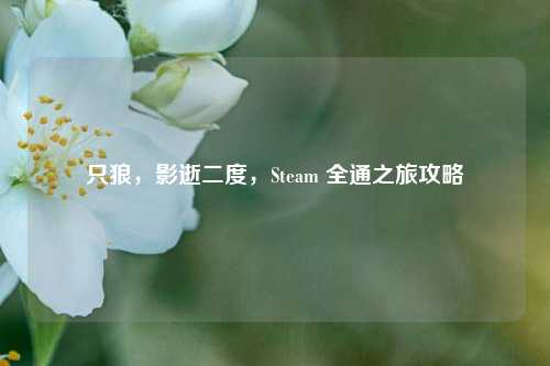只狼，影逝二度，Steam 全通之旅攻略