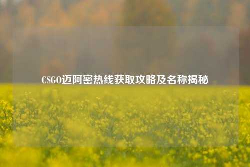 CSGO迈阿密热线获取攻略及名称揭秘
