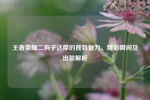 王者荣耀二狗子达摩的独特魅力、精彩瞬间及出装解析