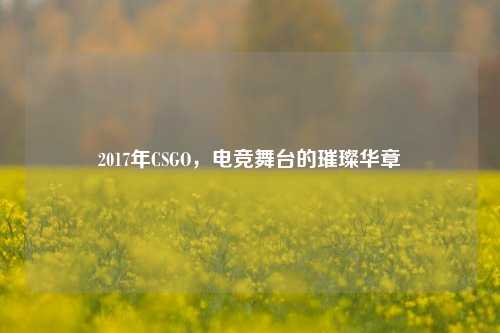2017年CSGO，电竞舞台的璀璨华章
