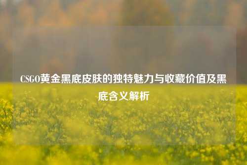 CSGO黄金黑底皮肤的独特魅力与收藏价值及黑底含义解析