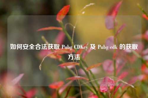 如何安全合法获取 Pubg CDKey 及 Pubg cdk 的获取方法