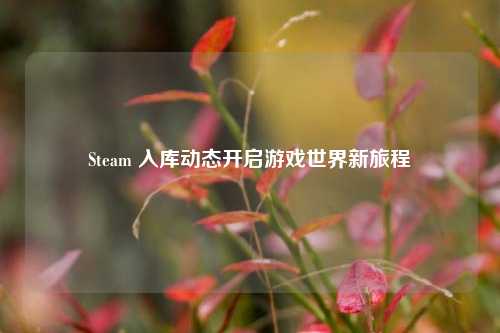 Steam 入库动态开启游戏世界新旅程