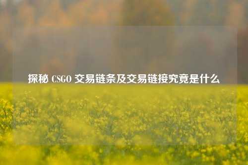 探秘 CSGO 交易链条及交易链接究竟是什么