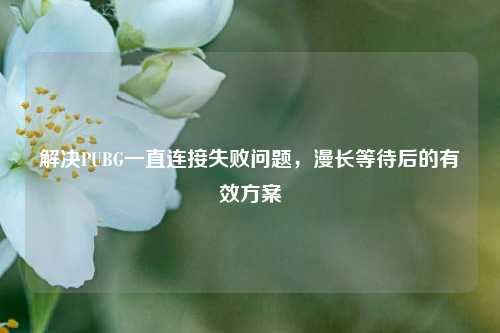 解决PUBG一直连接失败问题，漫长等待后的有效方案