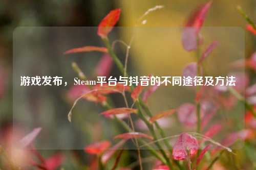 游戏发布，Steam平台与抖音的不同途径及方法