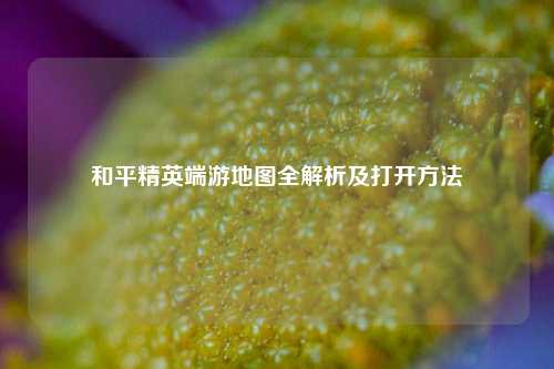 和平精英端游地图全解析及打开方法