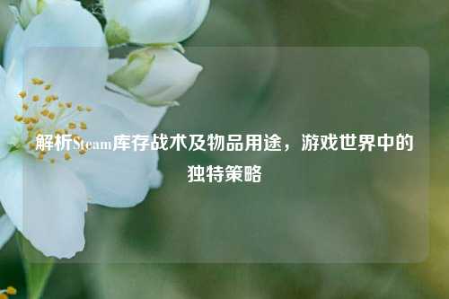 解析Steam库存战术及物品用途，游戏世界中的独特策略