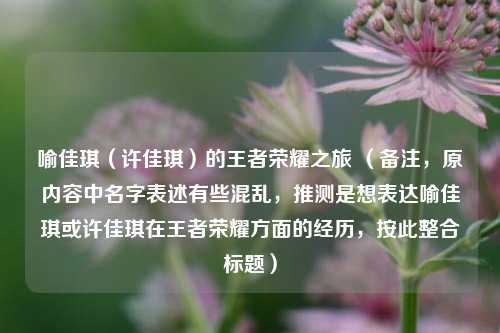 喻佳琪（许佳琪）的王者荣耀之旅 （备注，原内容中名字表述有些混乱，推测是想表达喻佳琪或许佳琪在王者荣耀方面的经历，按此整合标题）