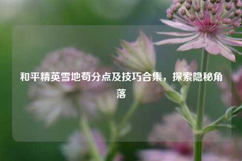 和平精英雪地苟分点及技巧合集，探索隐秘角落