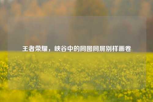 王者荣耀，峡谷中的同图同屏别样画卷