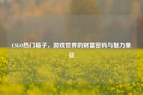 CSGO热门箱子，游戏世界的财富密码与魅力象征