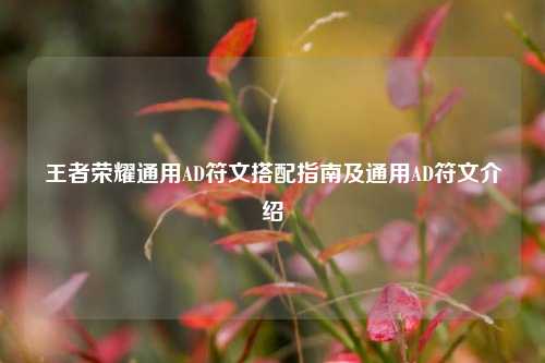 王者荣耀通用AD符文搭配指南及通用AD符文介绍
