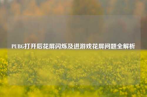 PUBG打开后花屏闪烁及进游戏花屏问题全解析