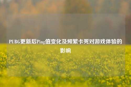 PUBG更新后Ping值变化及频繁卡死对游戏体验的影响