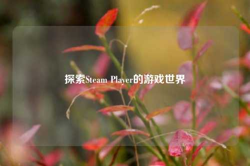 探索Steam Player的游戏世界