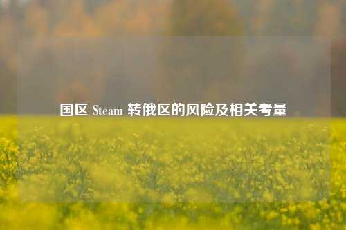 国区 Steam 转俄区的风险及相关考量